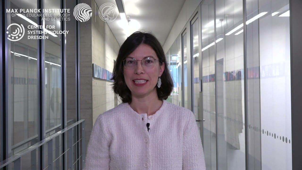 Protein plasticity and evolution: The research group of Agnes Toth-Petroczy at MPI-CBG