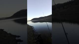 pesca black bass en cijara 2017