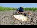 Like This Fishing And Best Collect Fishes - Unbelievable Share Share this fishing video