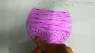 Histology easy diagrams ...dense regular connective tissue