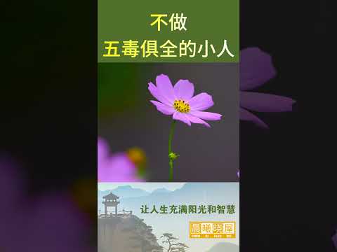 不做五毒俱全的小人｜傳統文化｜知識分享｜人生智慧 【晨曦曉屋】