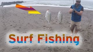 Watch www.redwood.fish kill it in the surf. over 15 fish, giant mussel
and more. join our adventure!
https://www./c/redwoodfish?sub_confirmation=1...