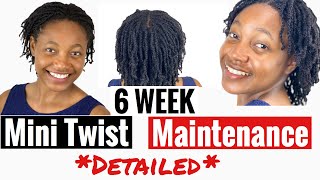 *DETAILED* 6 Week MiniTwist Maintenance | Minimise Frizz | Maintain Moisturise #microtwists #twists