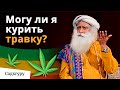 Когда можно курить марихуану, а когда нельзя? Нужна ли легализация?