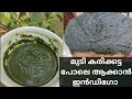 നീലയമരി ഹെയർ ഡൈ | Indigo Powder Hair Dye with Henna |പപ്പായ ഇല ചേർത്താൽ നീലയമരി കരിക്കട്ട പോലെ ആകും