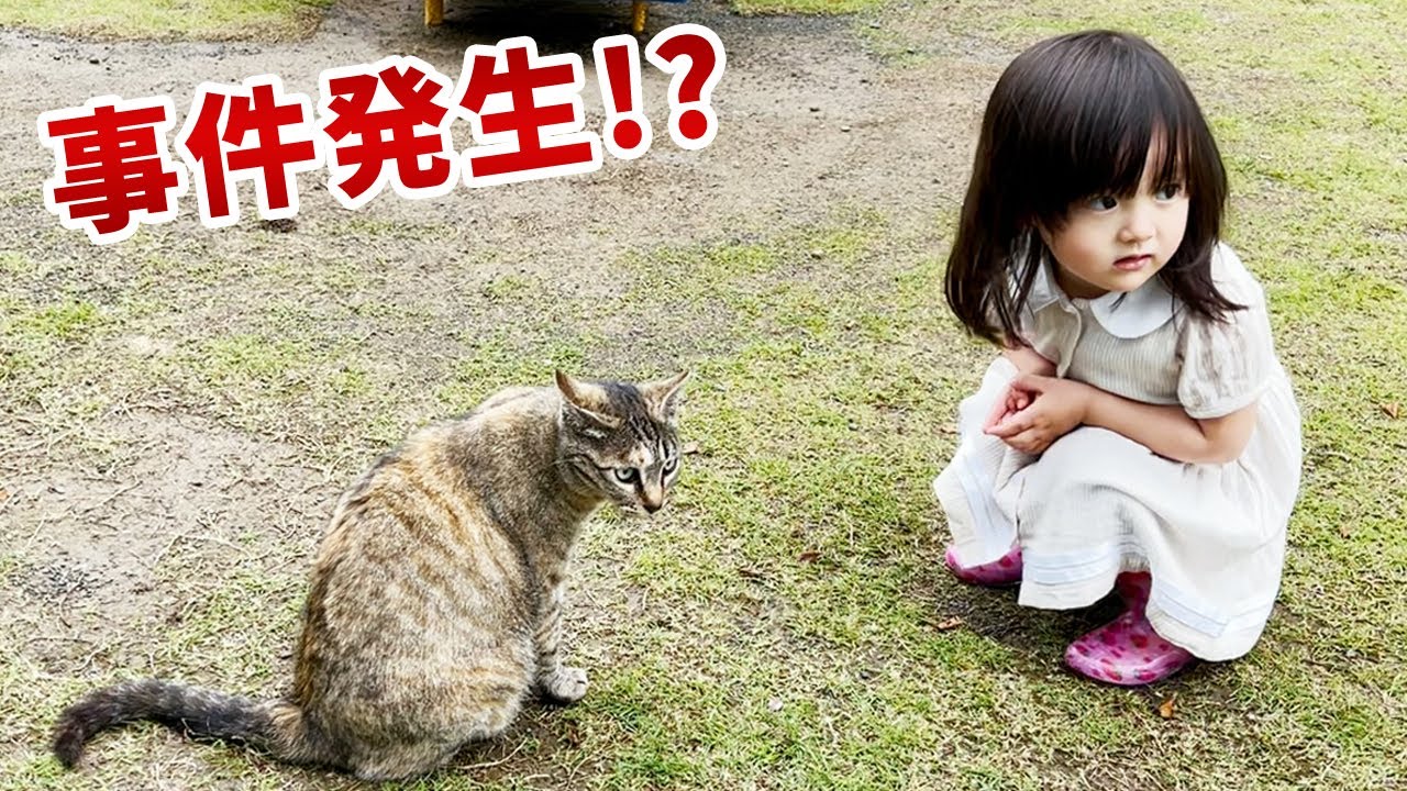 雨上がりの散歩デート。カラスの犯行現場を目撃！？