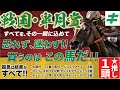 皐月賞 2024【予想】軸馬を決断！恐れず、迷わず「あの馬で大勝負」