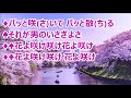 人生 花ふぶき/安倍理津子&川田恋 カラオケ