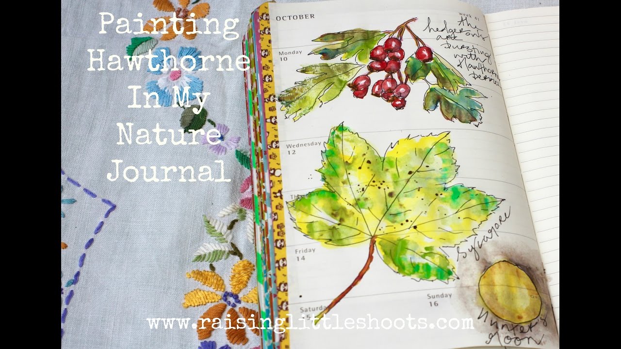 October in my Nature Journal - Painting and Collaging Speedpaint 