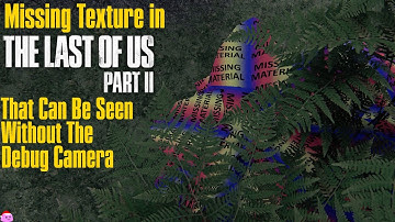 Missing Texture in The Last of Us Part II That You Can See in Game