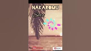 Nakaromu-Soro