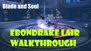 [Blade and Soul] Ebondrake Lair Full Mechanics Walkthrough and Guide!