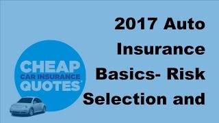 2017 Auto Insurance Basics  | Risk Selection and Usage Based Auto Insurance News