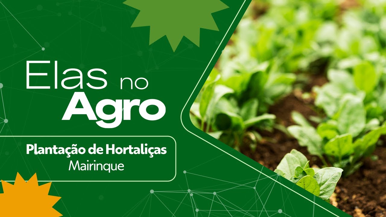 Elas No Agro - Larissa Camargo e a plantação de hortaliças em Mairinque