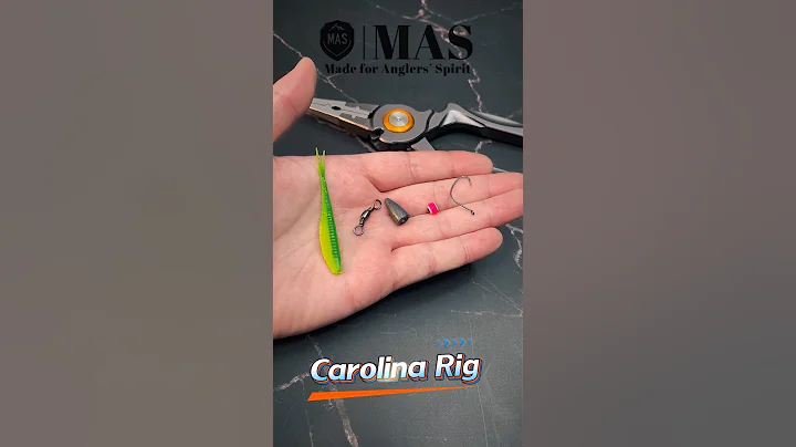 Texas or Carolina Rig – Which One’s Better for You? #fishing #fishingknot #fishingtips #angler