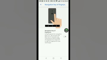 Nokia 7 Plus - Secret fingerprint sensor menu