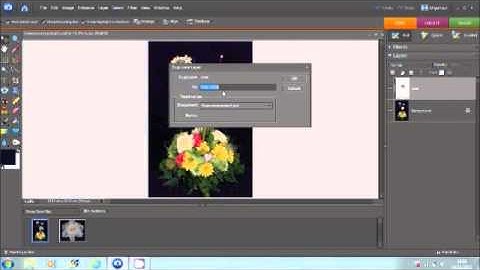 Photosho Elements 6 - Use of Layers