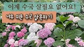 초보자도 알기 쉬운 가지치기의 원리 / 나무 수형 만드는 방법 - Youtube