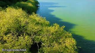 lago Lanalhue