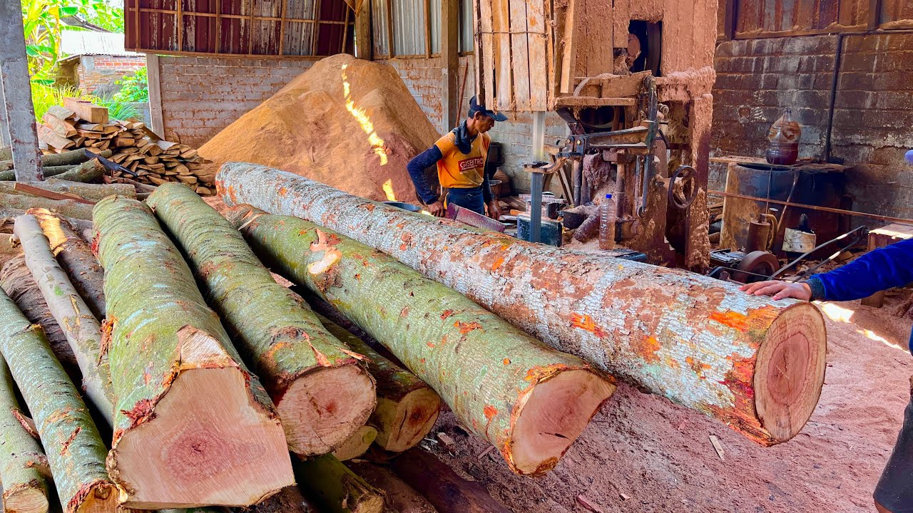 Unmatched in ferocity! The sawmill operator's quick way to saw long logs