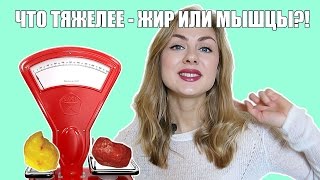 Что тяжелее жир или мышцы?