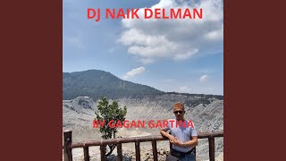 DJ Naik Delman