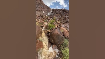 عبدالله الموسى…تلاوة خاشعة