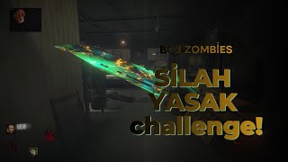 BLACK OPS ZOMBİES SİLAH YASAK challenge!!