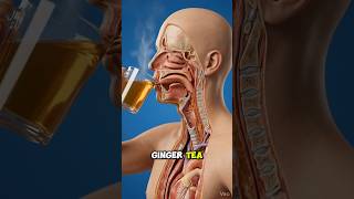 What Happens Inside Your Body When You Drink Ginger Tea? 🫚#shorts #ginger