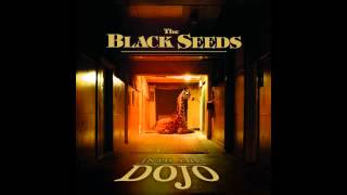 Vignette de la vidéo "The Black Seeds - Cool Me Down"