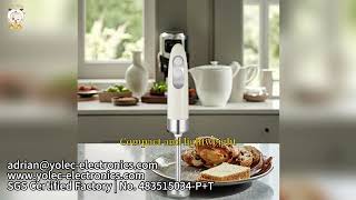 OEM 500W Stainless Steel Hand Blender Supplier | Immersion Blender Manufacturer for Amazon FBA