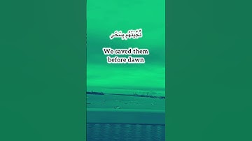 Surah Al-Qamar | 34 - 36 #surah #سورة_القمر #quran #islam #allah #peace #muslim #trending #fyp