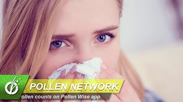 Network of Automated Pollen Sensors Can Help Reduce Pollen Exposure