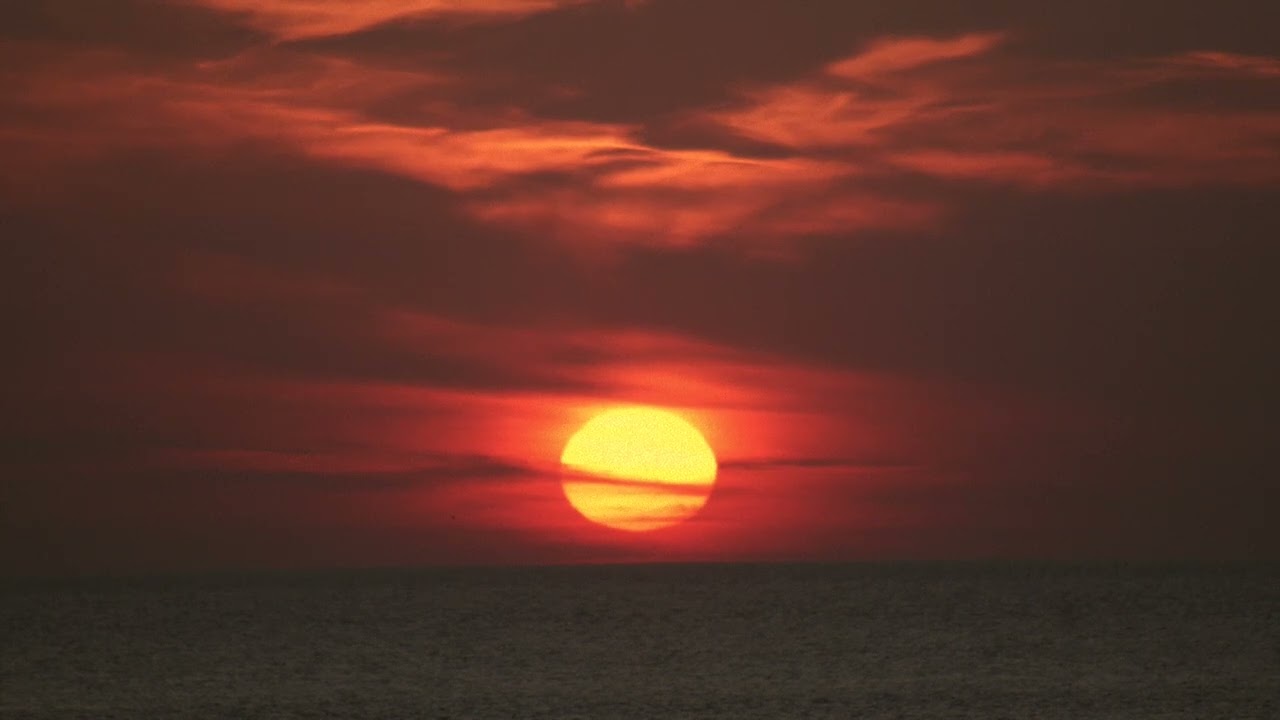 Harbor Tea Rooms - Sun Kiss (Official Audio)