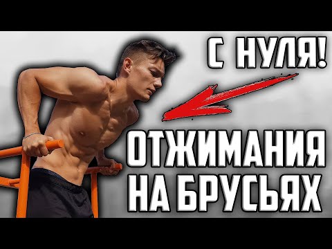 ОТЖИМАНИЯ НА БРУСЬЯХ С НУЛЯ | Как научиться отжиматься на брусьях
