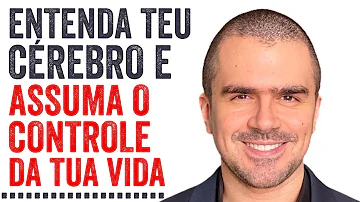 Quais são as áreas principais do cérebro?