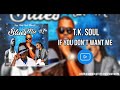 T.K. Soul  - If You Don