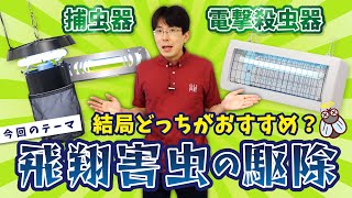 【飛翔害虫駆除】捕虫器と電撃殺虫器を徹底比較してみた！※虫の映像は出てきません