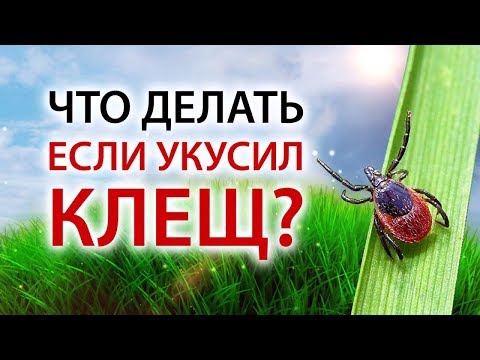 Осторожно, клещи!!!
