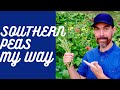 GROWING SOUTHERN PEAS, COWPEAS, OR FIELD PEAS IN THE URBAN GARDEN