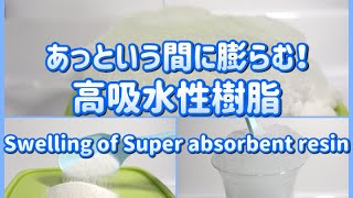 あっという間に膨らむ！ 高吸水性樹脂（Super absorbent resin）