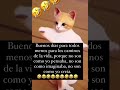 EL GATO BAILADOR