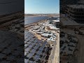 Solar farm, need a camp setup on your solar/construction site? #shorts #solar #construction #housing