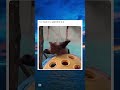 概要欄で初めての🎁全員企画しています!#tiktok #twitter #おもしろ