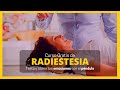 🌺 Curso de Radiestesia Gratis Online - libera las emociones negativas - Como aprender radiestesia
