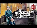 Что датчане, норвежцы и финны думают про шведов. Соседские стереотипы.