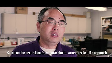 TIP 2019: Genetic Improvement of Salt and Drought Tolerance in Crop Plants