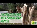 3 Tips for Pruning Crape Myrtles in Gainesville, Florida