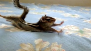 The Best Of Cute Vines Mr Dote