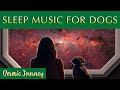 Soothing Sleep Music for Dogs 🐶💤 Calm Your Pup Effectively